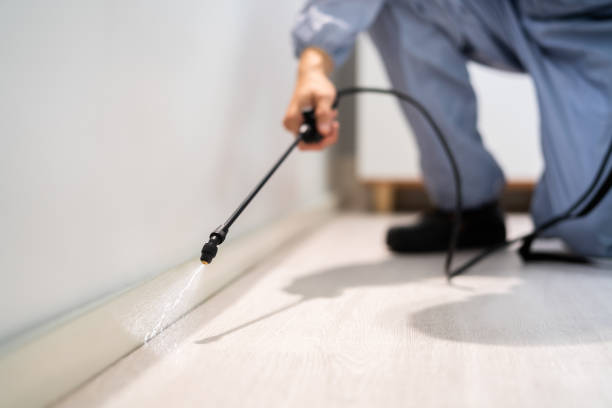 Licensed Mosquito Control service in Saint John Fisher College, NY - Show Me Pest Control