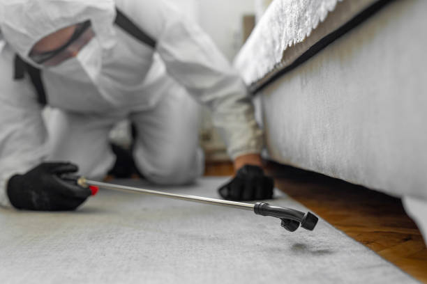 Professional Ant Control technician working in Saint John Fisher College, NY