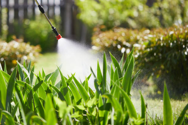 24/7 Emergency Mosquito Control experts in Saint John Fisher College, NY