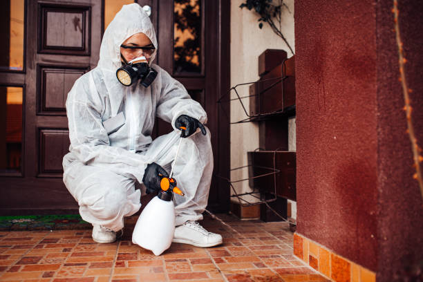 Reliable Mosquito Control contractor in Saint John Fisher College, NY by Show Me Pest Control